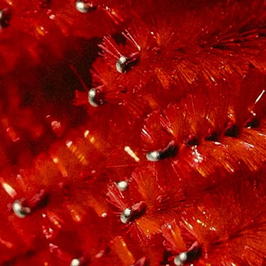 ⭐️ Starlit Luxe at Lash Alchemy by Layla in Interlachen, FL