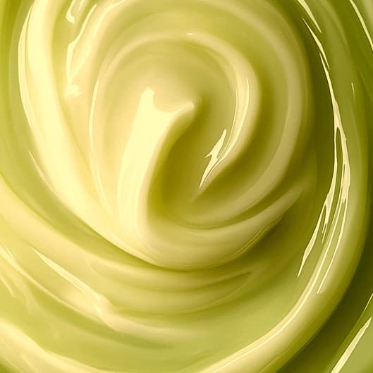 🌠 Auric Alignment at Lash Alchemy by Layla in Interlachen, FL